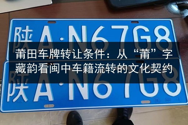 莆田车牌转让条件：从“莆”字藏韵看闽中车籍流转的文化契约 第2张