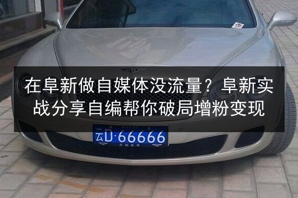 在阜新做自媒体没流量？阜新实战分享自编帮你破局增粉变现 第2张