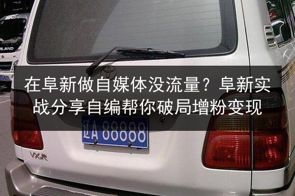 在阜新做自媒体没流量？阜新实战分享自编帮你破局增粉变现 第3张