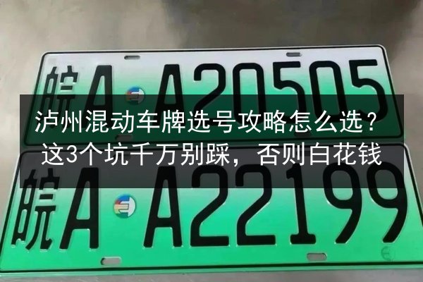 泸州混动车牌选号攻略怎么选?这3个坑千万别踩,否则白花钱 第2张 泸州混动车牌选号攻略怎么选?这3个坑千万别踩,否则白花钱 第2张