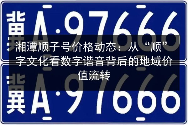 湘潭顺子号价格动态:从“顺”字文化看数字谐音背后的地域价值流转 第2张 湘潭顺子号价格动态:从“顺”字文化看数字谐音背后的地域价值流转 第2张