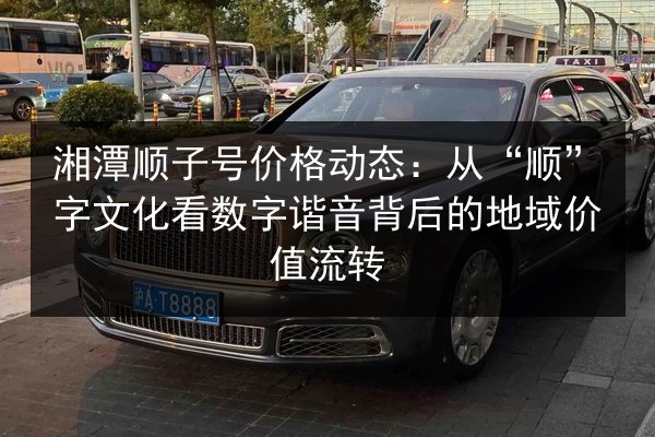 湘潭顺子号价格动态:从“顺”字文化看数字谐音背后的地域价值流转 第3张 湘潭顺子号价格动态:从“顺”字文化看数字谐音背后的地域价值流转 第3张