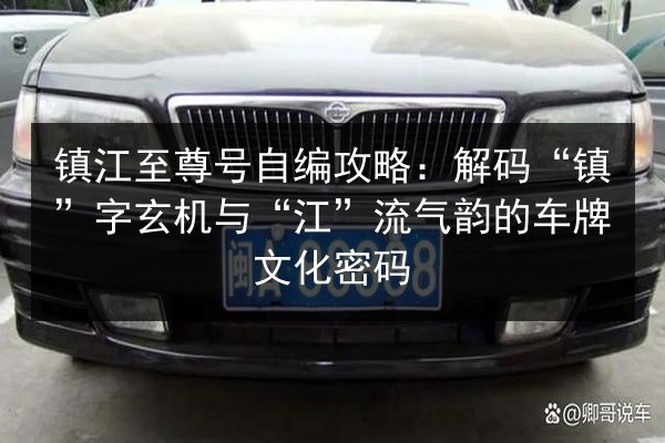 镇江至尊号自编攻略：解码“镇”字玄机与“江”流气韵的车牌文化密码 第3张