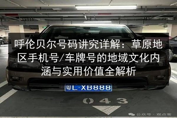 呼伦贝尔号码讲究详解：草原地区手机号_车牌号的地域文化内涵与实用价值全解析