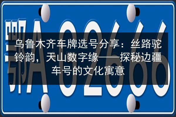 乌鲁木齐车牌选号分享：丝路驼铃韵，天山数字缘——探秘边疆车号的文化寓意
