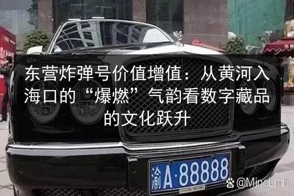 东营炸弹号价值增值:从黄河入海口的“爆燃”气韵看数字藏品的文化跃升 第2张 东营炸弹号价值增值:从黄河入海口的“爆燃”气韵看数字藏品的文化跃升 第2张