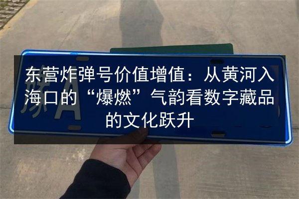 东营炸弹号价值增值:从黄河入海口的“爆燃”气韵看数字藏品的文化跃升 第3张 东营炸弹号价值增值:从黄河入海口的“爆燃”气韵看数字藏品的文化跃升 第3张