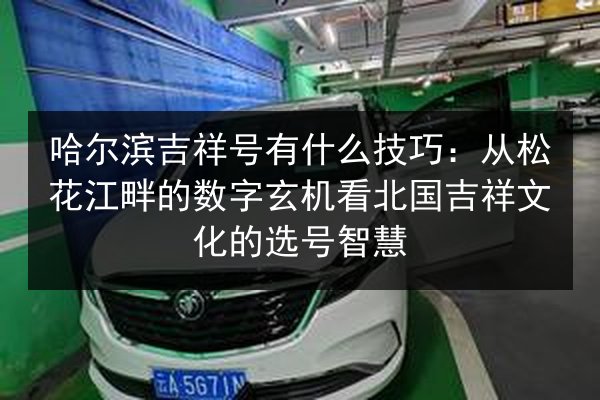 哈尔滨吉祥号有什么技巧：从松花江畔的数字玄机看北国吉祥文化的选号智慧 第2张