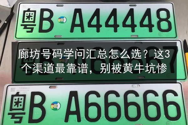廊坊号码学问汇总怎么选？这3个渠道最靠谱，别被黄牛坑惨