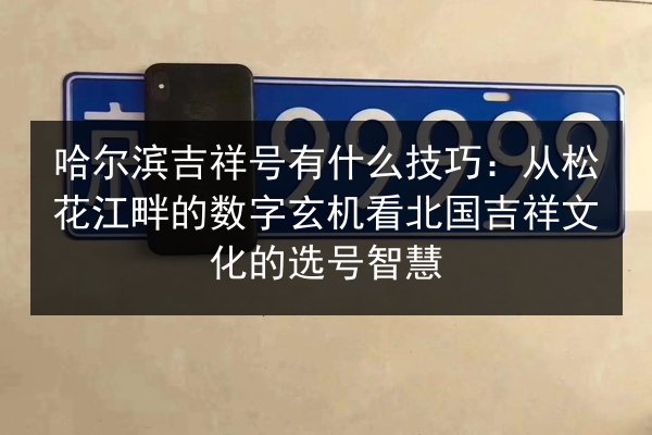 哈尔滨吉祥号有什么技巧：从松花江畔的数字玄机看北国吉祥文化的选号智慧 第3张