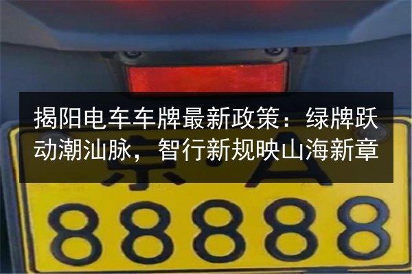 揭阳电车车牌最新政策：绿牌跃动潮汕脉，智行新规映山海新章 第3张