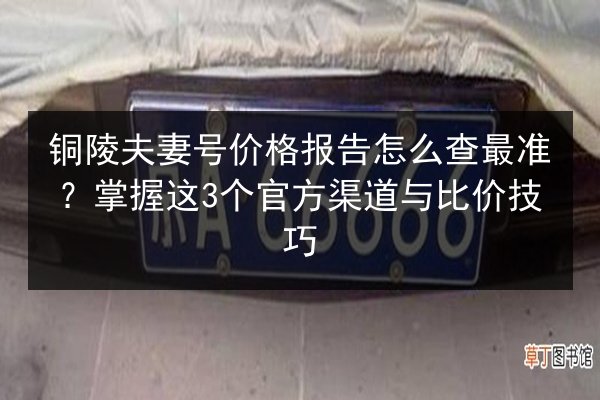 铜陵夫妻号价格报告怎么查最准?掌握这3个官方渠道与比价技巧 第2张 铜陵夫妻号价格报告怎么查最准?掌握这3个官方渠道与比价技巧 第2张