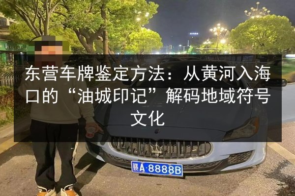 东营车牌鉴定方法：从黄河入海口的“油城印记”解码地域符号文化