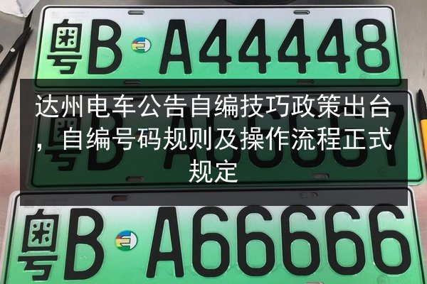 达州电车公告自编技巧政策出台，自编号码规则及操作流程正式规定 第2张