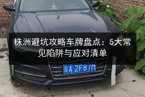 株洲避坑攻略车牌盘点：5大常见陷阱与应对清单