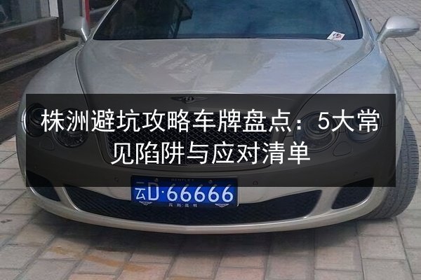 株洲避坑攻略车牌盘点：5大常见陷阱与应对清单 第2张