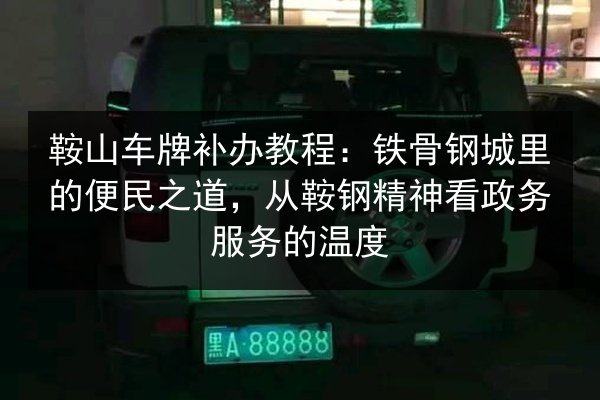 鞍山车牌补办教程：铁骨钢城里的便民之道，从鞍钢精神看政务服务的温度 第2张