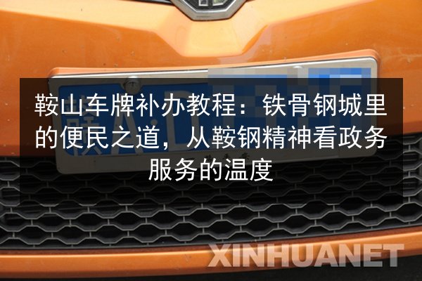鞍山车牌补办教程：铁骨钢城里的便民之道，从鞍钢精神看政务服务的温度 第3张