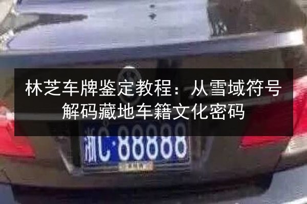 林芝车牌鉴定教程：从雪域符号解码藏地车籍文化密码 第3张