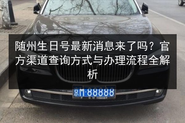 随州生日号最新消息来了吗？官方渠道查询方式与办理流程全解析
