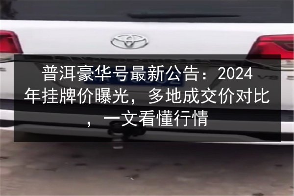 普洱豪华号最新公告：2024年挂牌价曝光，多地成交价对比，一文看懂行情 第2张