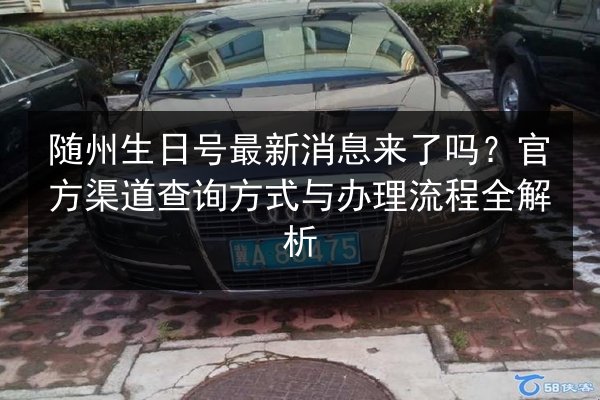 随州生日号最新消息来了吗？官方渠道查询方式与办理流程全解析 第2张