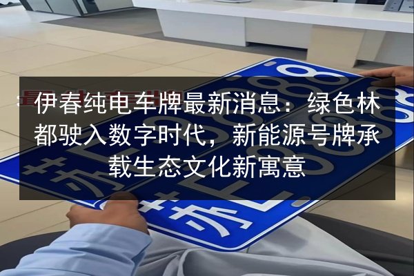 伊春纯电车牌最新消息:绿色林都驶入数字时代,新能源号牌承载生态文化新寓意 第2张 伊春纯电车牌最新消息:绿色林都驶入数字时代,新能源号牌承载生态文化新寓意 第2张
