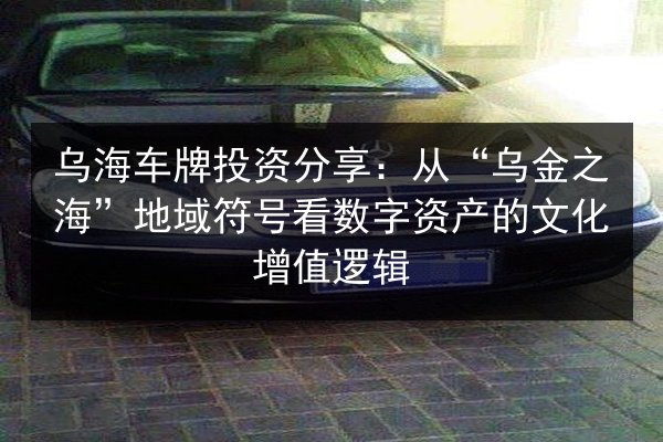 乌海车牌投资分享:从“乌金之海”地域符号看数字资产的文化增值逻辑 第1张 乌海车牌投资分享:从“乌金之海”地域符号看数字资产的文化增值逻辑 第1张