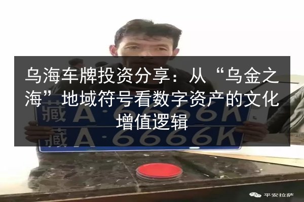 乌海车牌投资分享:从“乌金之海”地域符号看数字资产的文化增值逻辑 第2张 乌海车牌投资分享:从“乌金之海”地域符号看数字资产的文化增值逻辑 第2张