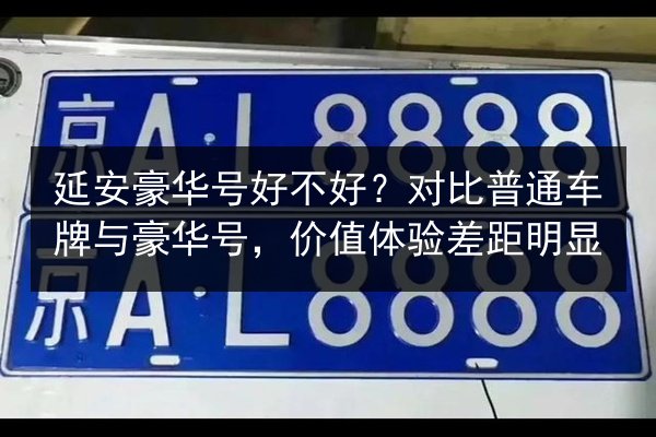 延安豪华号好不好？对比普通车牌与豪华号，价值体验差距明显