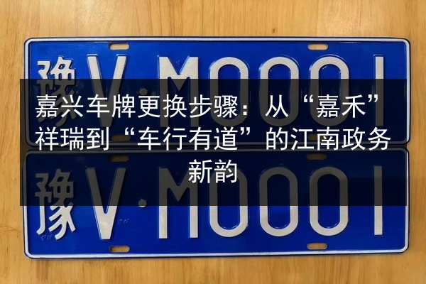 嘉兴车牌更换步骤：从“嘉禾”祥瑞到“车行有道”的江南政务新韵 第2张