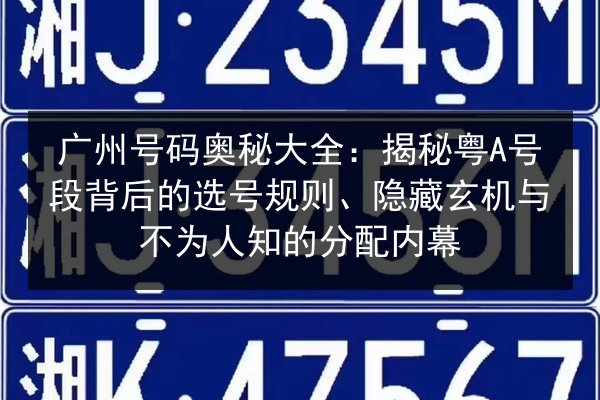 广州号码奥秘大全：揭秘粤A号段背后的选号规则、隐藏玄机与不为人知的分配内幕