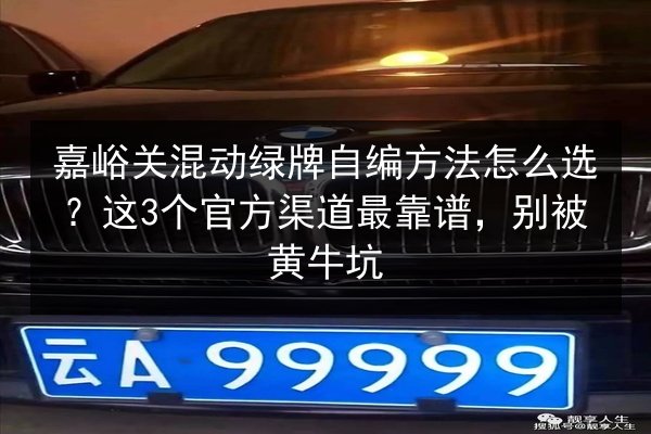 嘉峪关混动绿牌自编方法怎么选？这3个官方渠道最靠谱，别被黄牛坑 第3张