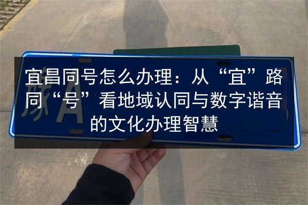 宜昌同号怎么办理：从“宜”路同“号”看地域认同与数字谐音的文化办理智慧