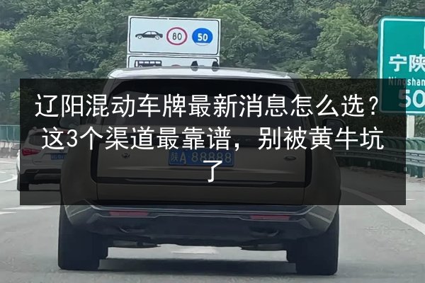 辽阳混动车牌最新消息怎么选？这3个渠道最靠谱，别被黄牛坑了