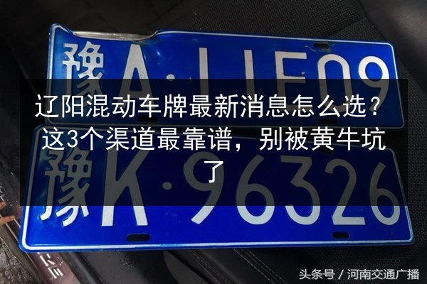 辽阳混动车牌最新消息怎么选？这3个渠道最靠谱，别被黄牛坑了 第2张