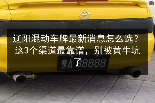 辽阳混动车牌最新消息怎么选？这3个渠道最靠谱，别被黄牛坑了 第3张