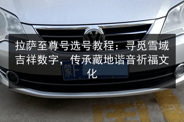 拉萨至尊号选号教程：寻觅雪域吉祥数字，传承藏地谐音祈福文化
