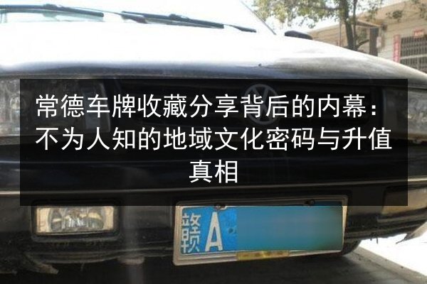 常德车牌收藏分享背后的内幕:不为人知的地域文化密码与升值真相 第2张 常德车牌收藏分享背后的内幕:不为人知的地域文化密码与升值真相 第2张