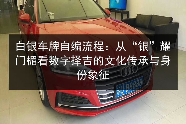 白银车牌自编流程:从“银”耀门楣看数字择吉的文化传承与身份象征 第2张 白银车牌自编流程:从“银”耀门楣看数字择吉的文化传承与身份象征 第2张