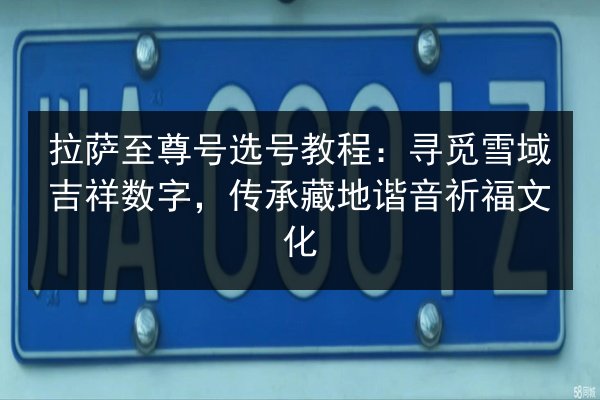 拉萨至尊号选号教程:寻觅雪域吉祥数字,传承藏地谐音祈福文化 第3张 拉萨至尊号选号教程:寻觅雪域吉祥数字,传承藏地谐音祈福文化 第3张