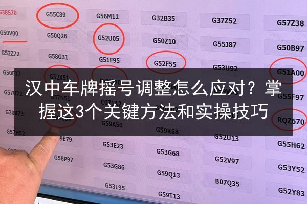 汉中车牌摇号调整怎么应对?掌握这3个关键方法和实操技巧 第2张 汉中车牌摇号调整怎么应对?掌握这3个关键方法和实操技巧 第2张
