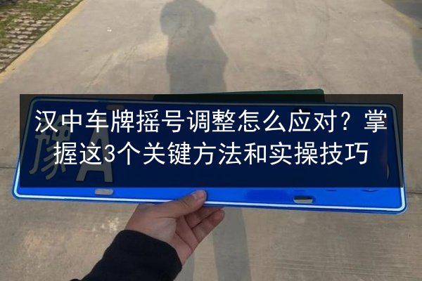 汉中车牌摇号调整怎么应对?掌握这3个关键方法和实操技巧 第3张 汉中车牌摇号调整怎么应对?掌握这3个关键方法和实操技巧 第3张