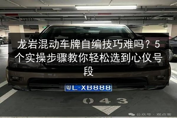 龙岩混动车牌自编技巧难吗?5个实操步骤教你轻松选到心仪号段 第3张 龙岩混动车牌自编技巧难吗?5个实操步骤教你轻松选到心仪号段 第3张