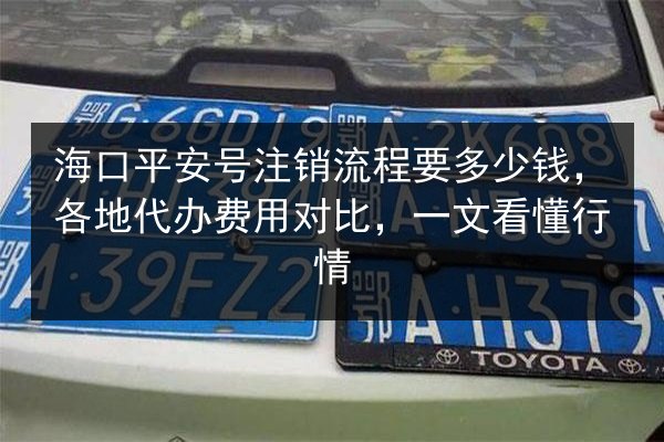 海口平安号注销流程要多少钱，各地代办费用对比，一文看懂行情
