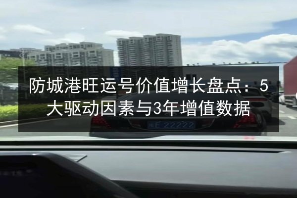 防城港旺运号价值增长盘点：5大驱动因素与3年增值数据