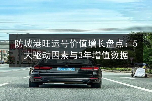 防城港旺运号价值增长盘点：5大驱动因素与3年增值数据 第2张