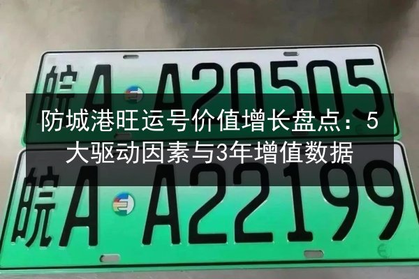 防城港旺运号价值增长盘点：5大驱动因素与3年增值数据 第3张
