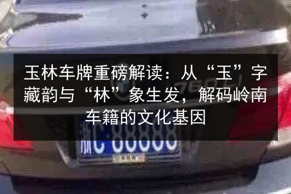 玉林车牌重磅解读:从“玉”字藏韵与“林”象生发,解码岭南车籍的文化基因 第3张 玉林车牌重磅解读:从“玉”字藏韵与“林”象生发,解码岭南车籍的文化基因 第3张