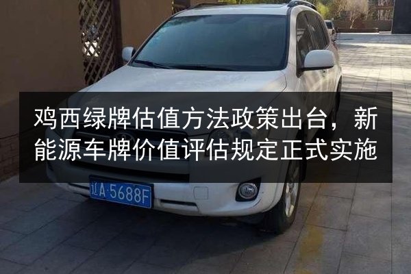 鸡西绿牌估值方法政策出台，新能源车牌价值评估规定正式实施